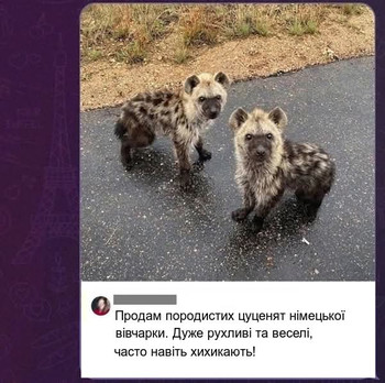 Зображення