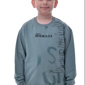 Одяг для хлопчиків( худі, реглани, толстовки, спортивні костюми) Турція від 3-16р!