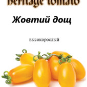 Смачні та привабливі томати Жовтий дощ, високорослий