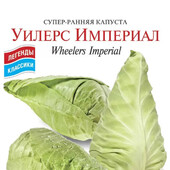 1Насіння суперранньої капусти Уілерс Імперіал, 150 насінин