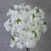 Неймовірно красива сакура біла з листям, в лоті одна, нова