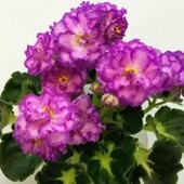 Фото №3