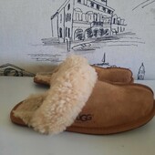 Тапочки UGG оригінал 36-37розмір