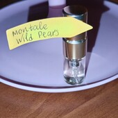 Montale Wild Pears стойкие