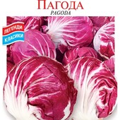 Салат Пагода. 300 насінин!!! Надзвичайний колір.