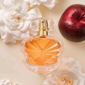 Eve Become 50 ml