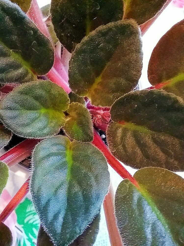 Фото №2