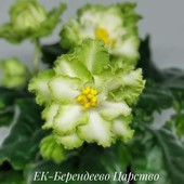 ЕК-Берендеево Царство - вкорінений лист