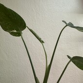 Фото №5