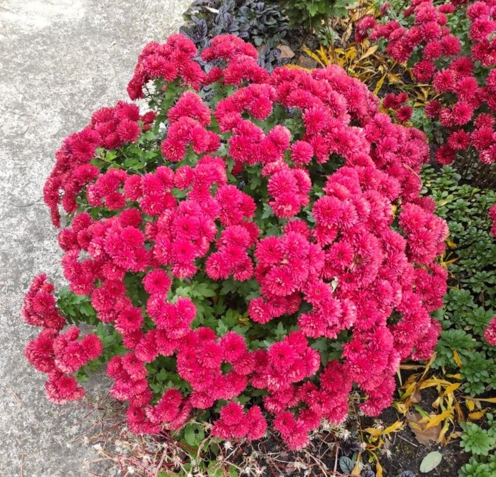 Фото №2