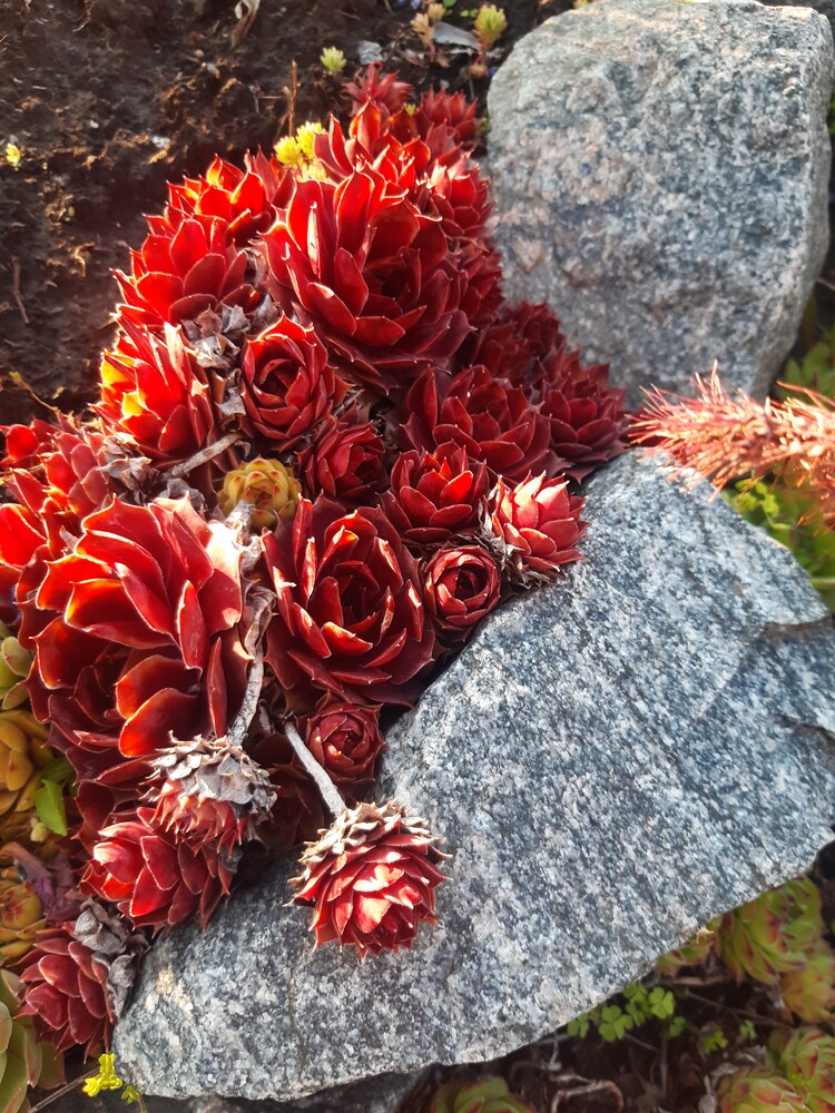 Фото №2