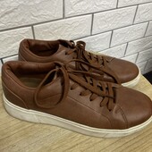 Кеди