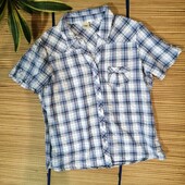 Рубашка блуза женская хлопок короткий рукав L-XL