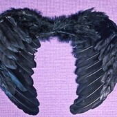 Крылья черные Ангела перьевые S (45х35см)