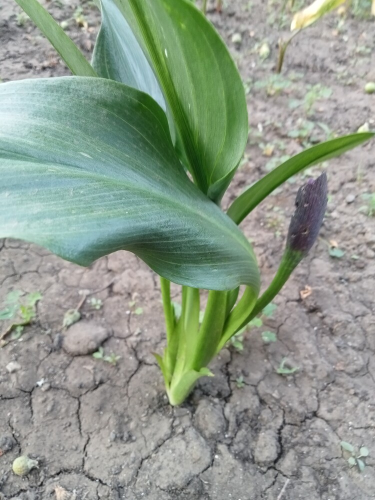 Фото №2
