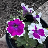 Фото №3