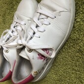 Кроссовки, кросівки, p. 38, встелька 24 см, Ted Baker. в ідеалі