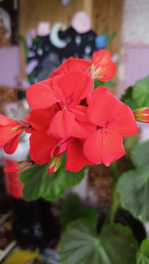 Фото №2