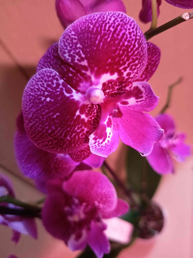 Фото №2