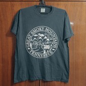 Футболка бавовняна Comfort Colors 03 Багато лотів