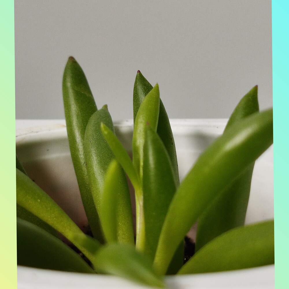 Фото №2