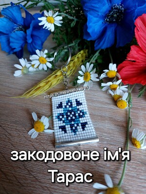 Фото №1