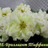 ЛЕ- Бриллиант Тифани - дітка