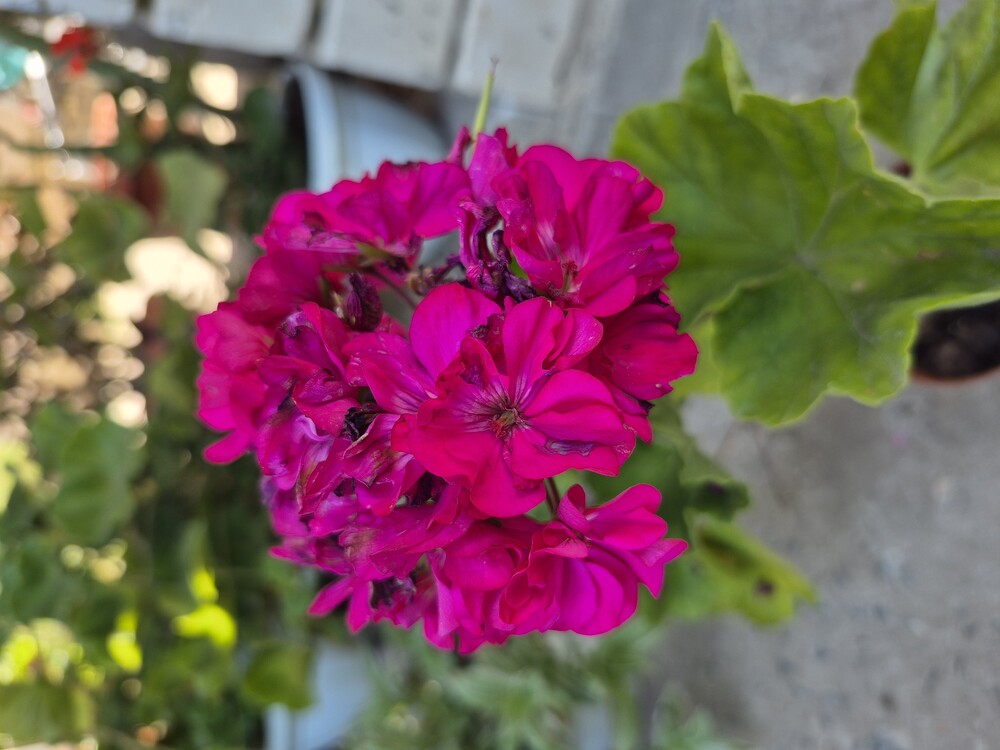 Фото №1