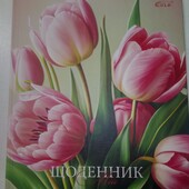Щоденник шкільний Бриск УВ-15 тверда палітурка