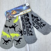 Jurassic world.Набір носків теплих для хлопчика 23-26 (2-4р)р.