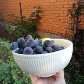 Форфоровый салатник 15,2 см