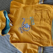 Худі +гольф одним лотом 4-5 років.