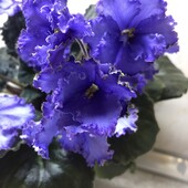 Фото №3