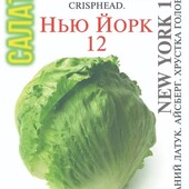 Салат айсберг Нью Йорк 12. Лот 500 насінин!!!