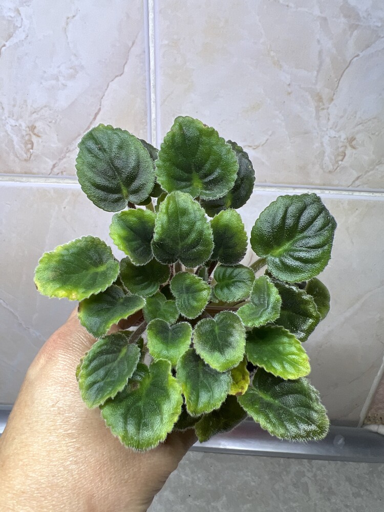 Фото №2
