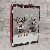 Подарунковий пакет 24*17,5*8,5см