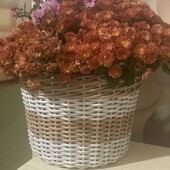 Кашпо для квітів