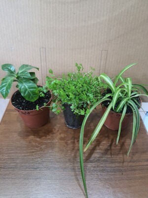 Фото №1 class=