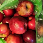 Яблуко домашне лот 4.7 кг