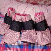 Ботиночки для собачек