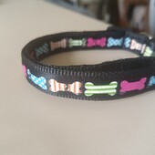 Крутий ошийник