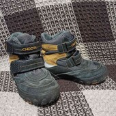 Термо чобітки Geox p.27
