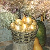 Цибуля домашня, лот 5 кг