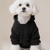 Нове утеплене худі на песика малої чи середньої породи