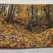 Календарик СРСР 1981