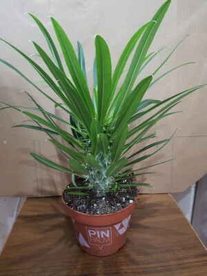 Фото №1 class=