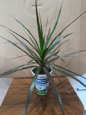 Фото №1 class=