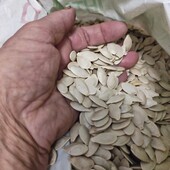 Гарбузові зернята, врожай 2025року.