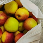 Яблуко домашне лот 6 кг