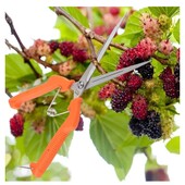 Прямой садовый секатор (21 см)